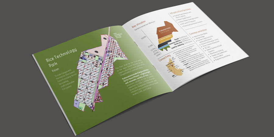 Digital Illustration